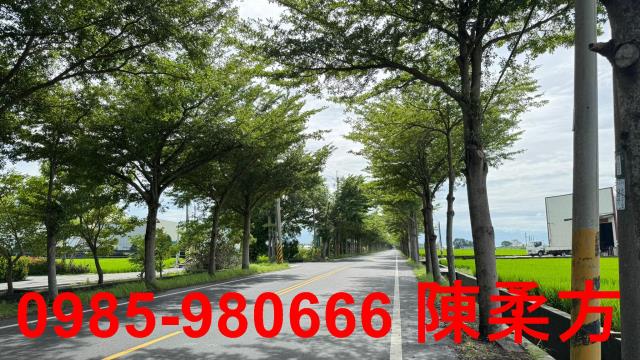 新港農地-4