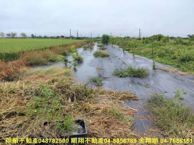 彰化埤頭農地-5
