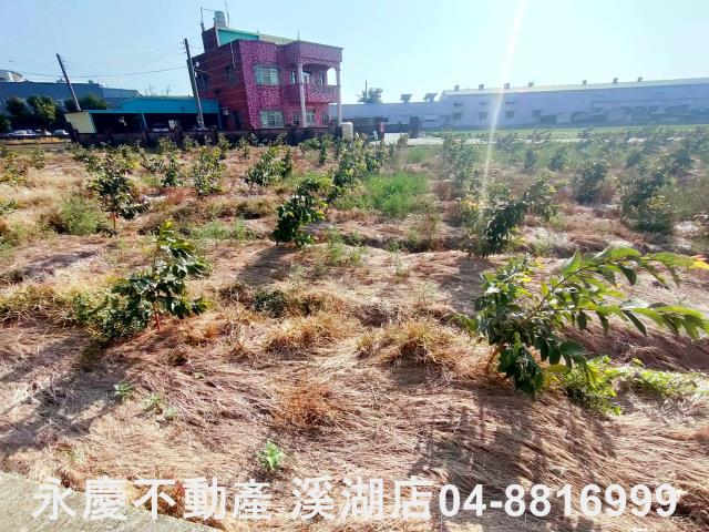 竹塘農地-4