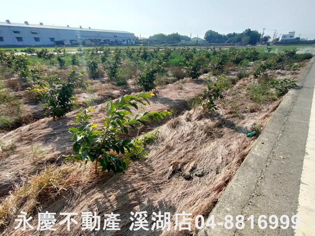 竹塘農地-7