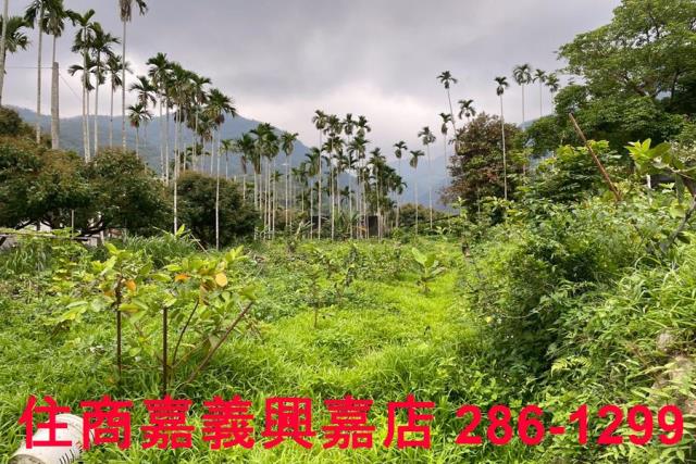 嘉義農地-4