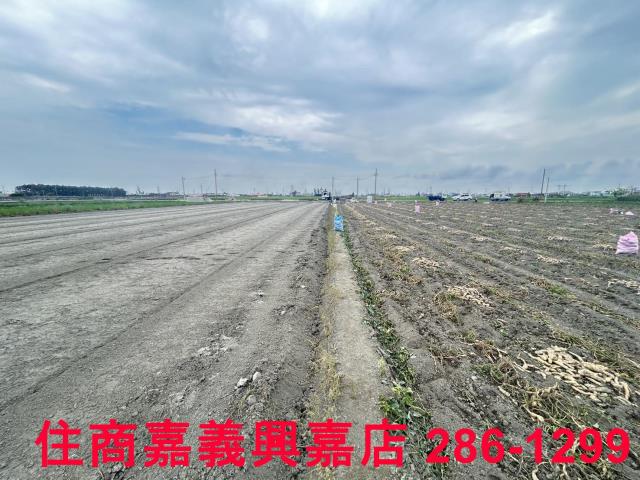 雲林農地-2