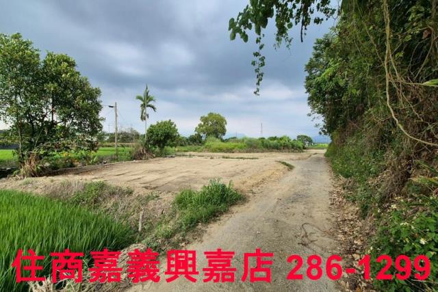 嘉義農地-9