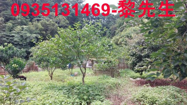 新竹橫山農地-3