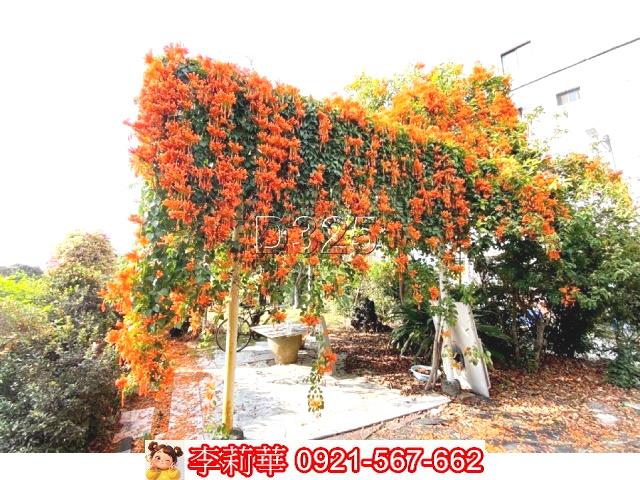 高雄路竹建地-11