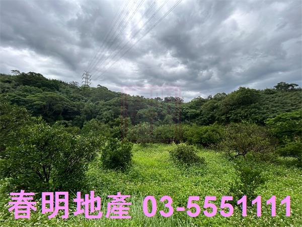 新竹峨眉農地-0