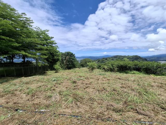 東勢農地-13