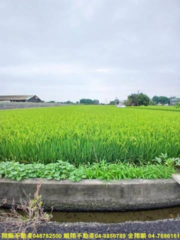 彰化農地-6