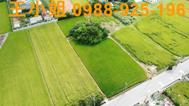 桃園新屋農地-5