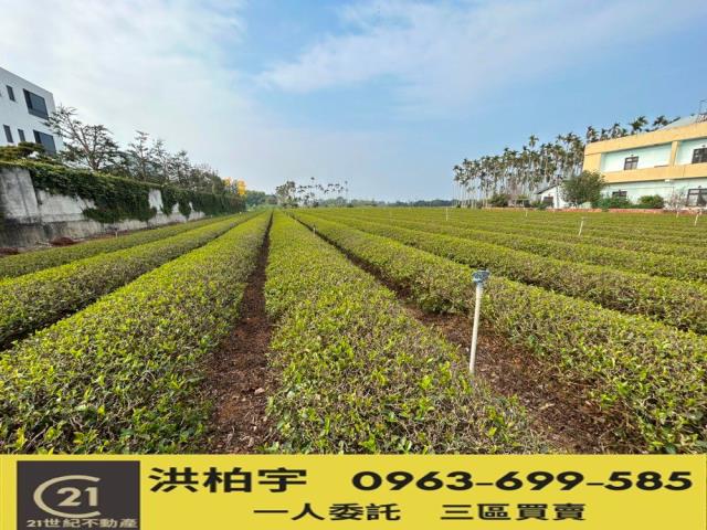 南投名間農地-0