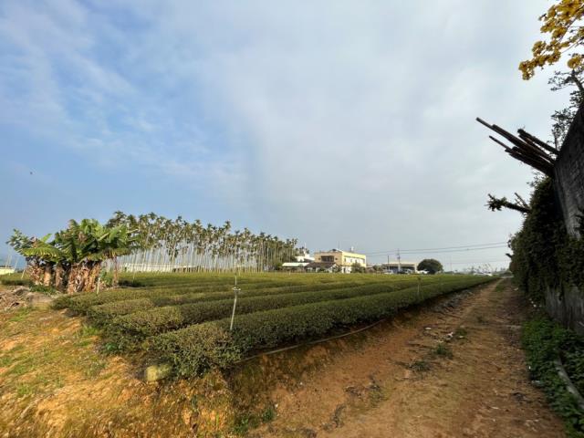 南投名間農地-3