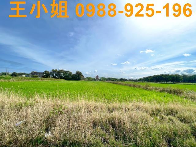 桃園新屋農地-9