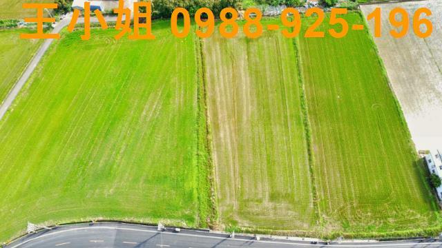 桃園新屋農地-2