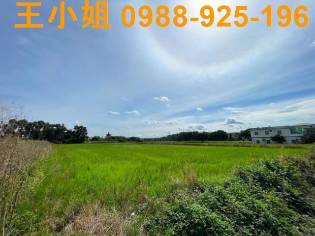 桃園新屋農地-8