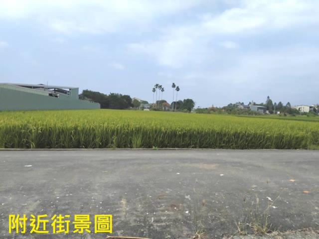 南投草屯農地-2