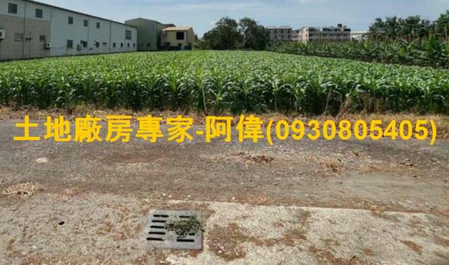 高雄大寮農地-0
