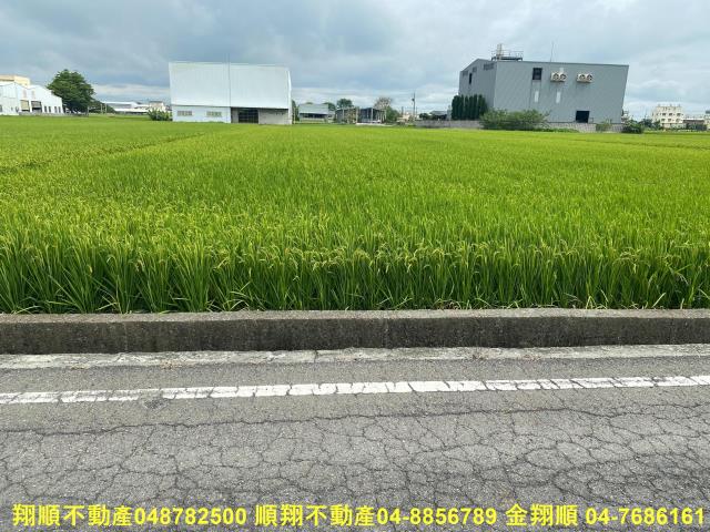 秀水農地-3