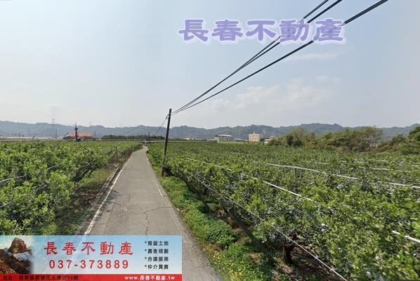 卓蘭農地-3