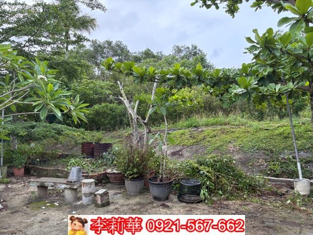 高雄杉林農地-4