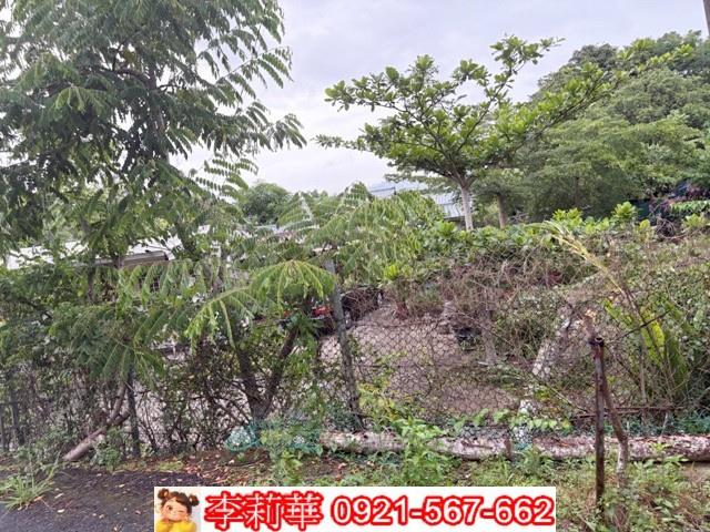 高雄杉林農地-5