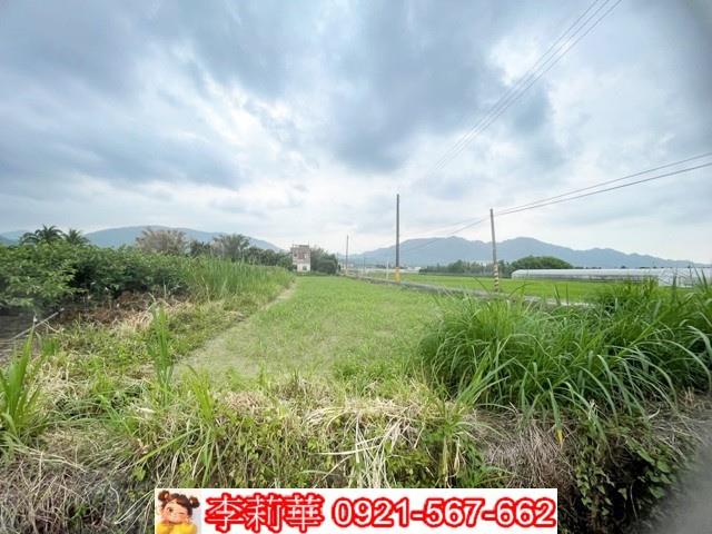 高雄杉林農地-5