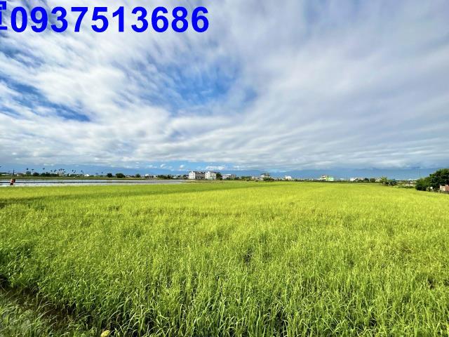 宜蘭壯圍農地-2
