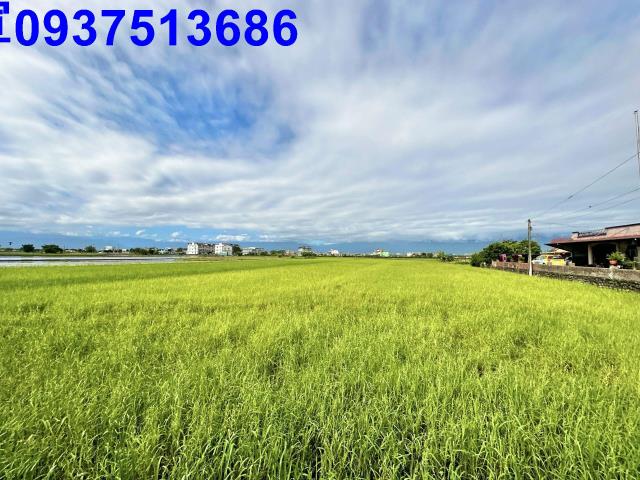 宜蘭壯圍農地-8