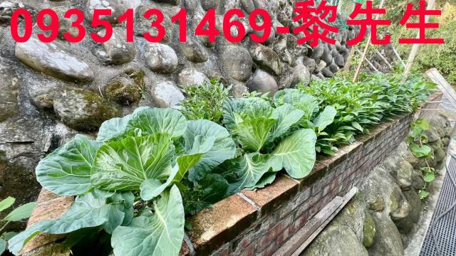 芎林農地-8