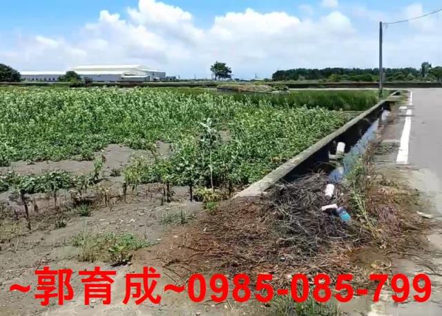 雲林水林農地-4