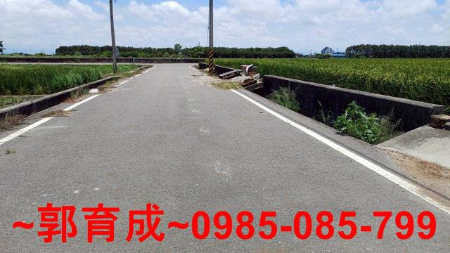 雲林水林農地-6