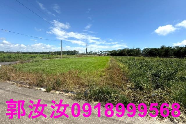 仁德農地-2