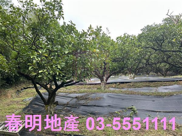 峨眉農地-2