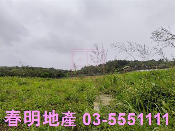 新豐建地-1