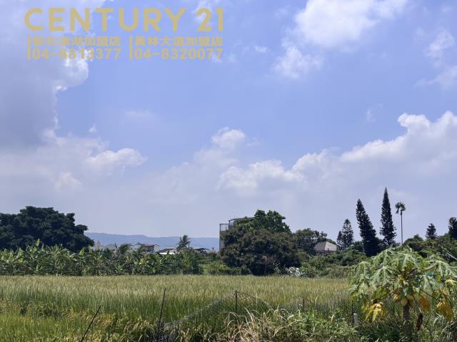 員林農地-2