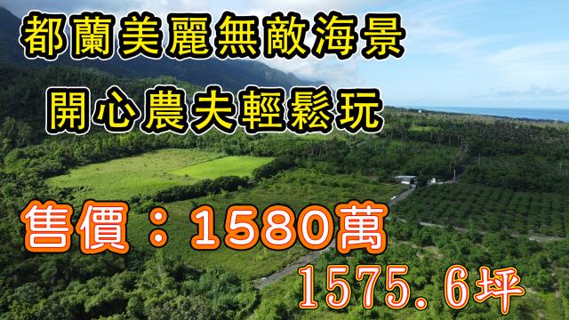 東河農地-0