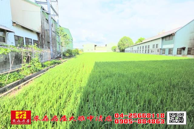 台中農地-5