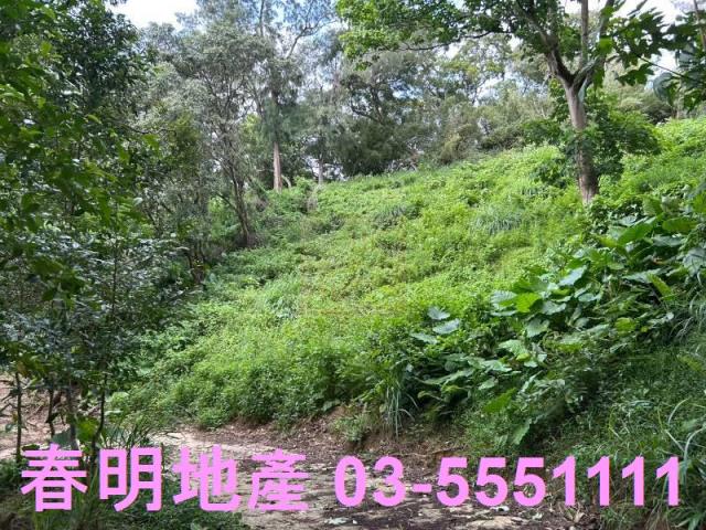 新竹縣市房地產近元培科技大學玄奘大學