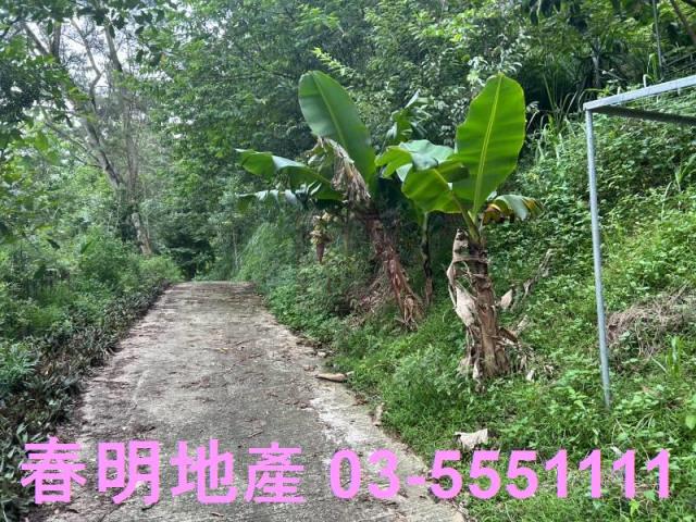 新竹林地-3