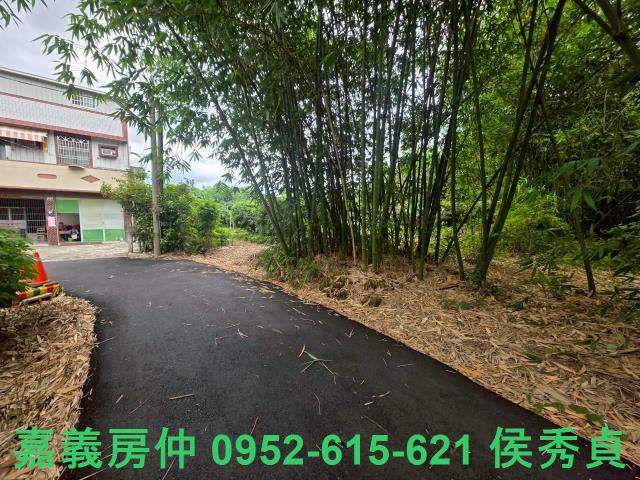 嘉義民雄農地-0