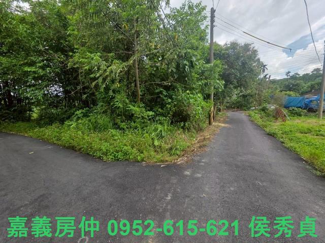 嘉義民雄農地-1