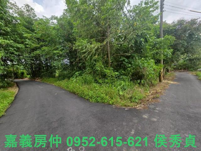 嘉義民雄農地-2