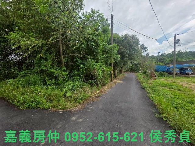 嘉義民雄農地-3