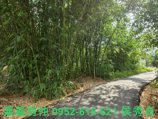 嘉義民雄農地-4