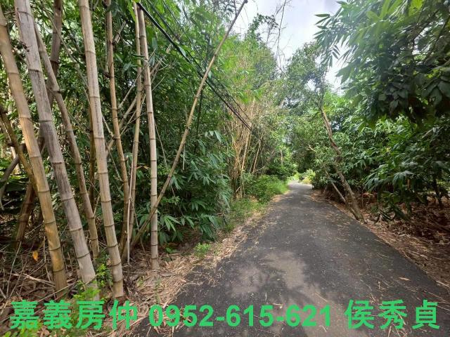 嘉義民雄農地-5