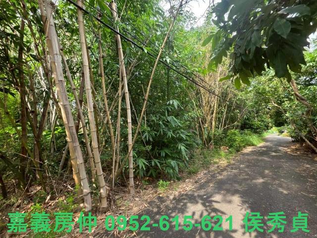 嘉義民雄農地-6