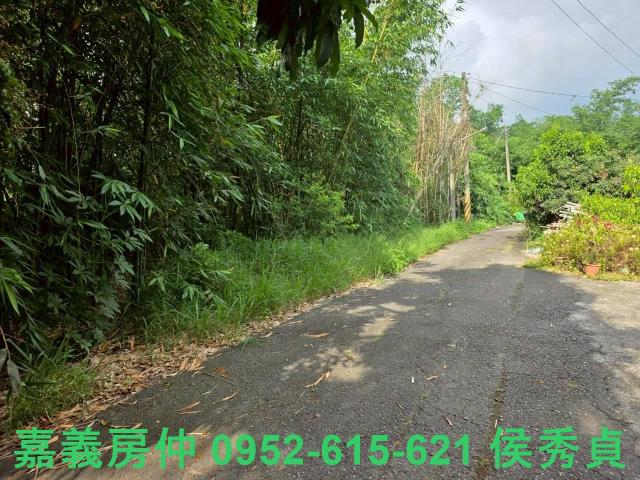 嘉義民雄農地-7