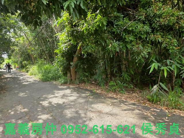 嘉義民雄農地-8