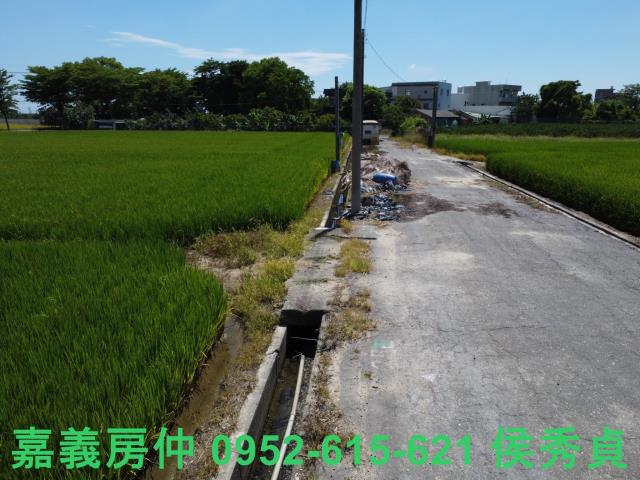 嘉義新港農地-2