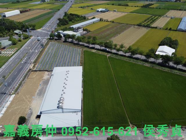 嘉義新港農地-8