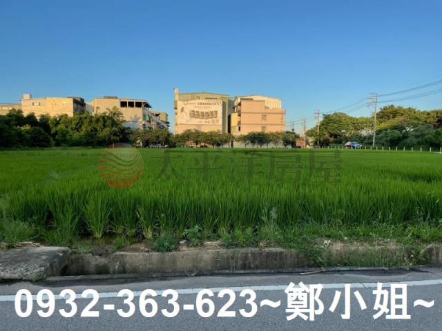 中壢農地-4